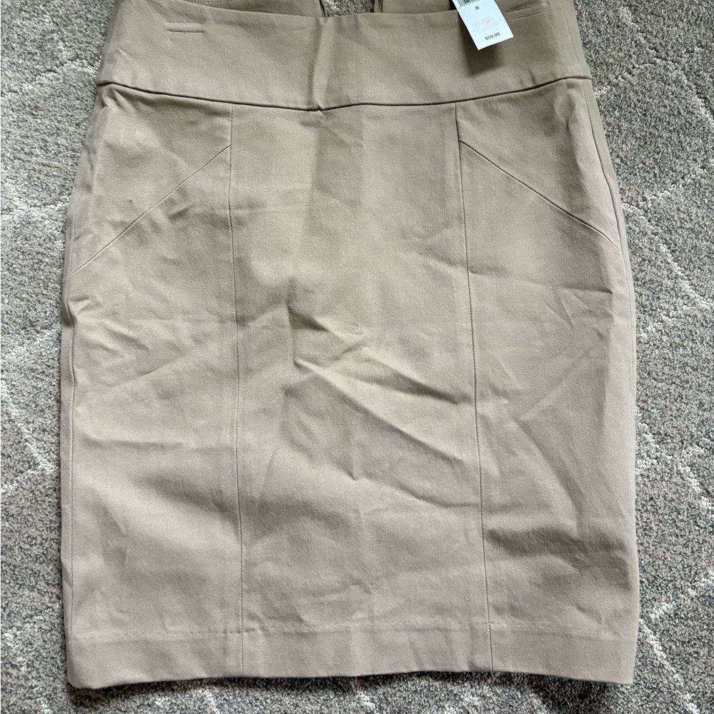 Banana Republic Pencil Skirt